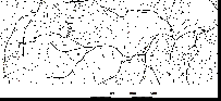 Схема окрестностей п. Майской